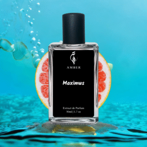 Maximus | Similar to Invictus by Rabanne