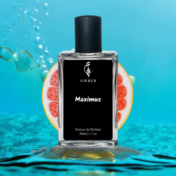 Maximus | Similar to Invictus by Rabanne