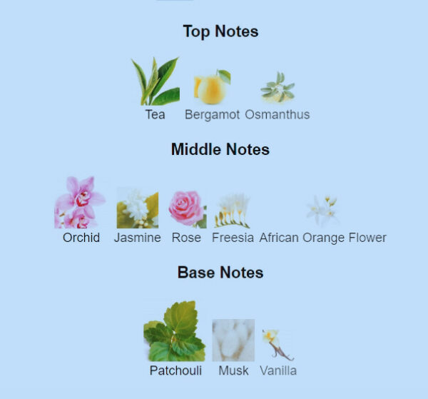 Bloomora | Similar to Flowerbomb by Viktor & Rolf - Image 2